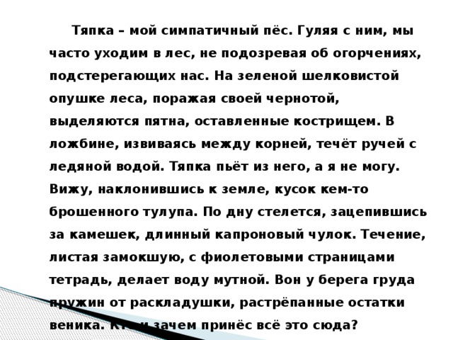 Тяпка – мой симпатичный пёс. Гуляя с ним, мы часто уходим в лес, не подозревая об огорчениях, подстерегающих нас. На зеленой шелковистой опушке леса, поражая своей чернотой, выделяются пятна, оставленные кострищем. В ложбине, извиваясь между корней, течёт ручей с ледяной водой. Тяпка пьёт из него, а я не могу. Вижу, наклонившись к земле, кусок кем-то брошенного тулупа. По дну стелется, зацепившись за камешек, длинный капроновый чулок. Течение, листая замокшую, с фиолетовыми страницами тетрадь, делает воду мутной. Вон у берега груда пружин от раскладушки, растрёпанные остатки веника. Кто и зачем принёс всё это сюда?