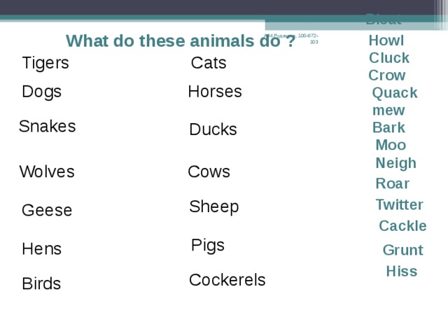 Ducks Turkeys Cats Pigs Dogs Snakes Horses Frogs Cows Moo-moo А.М.Рудакова, 100-672-103 Hiss-swiss Croak-croack Gobble-gobble Meow-meow Bow-wow Oink-oink Neigh-neigh Quack-quack