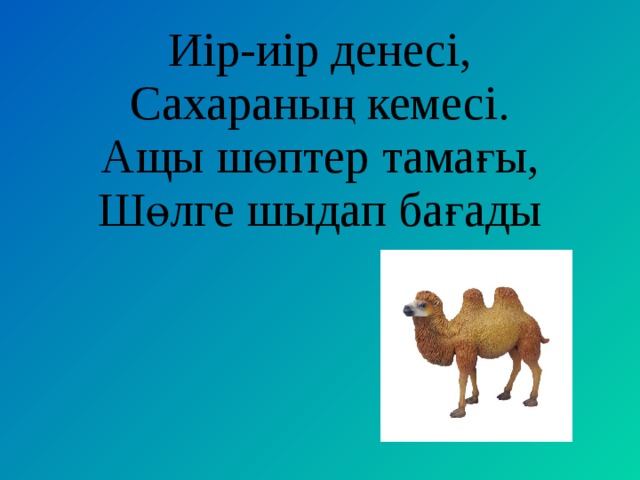 Иір-иір денесі,  Сахараның кемесі.  Ащы шөптер тамағы,  Шөлге шыдап бағады