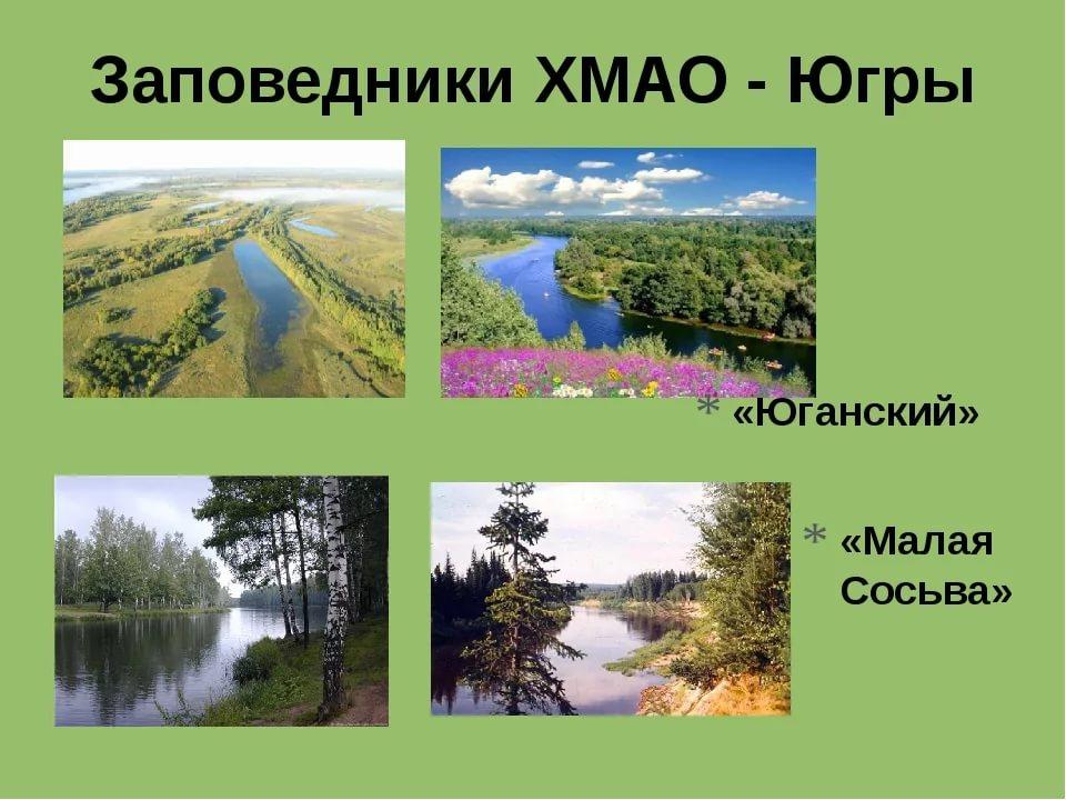 Проект животные хмао югры