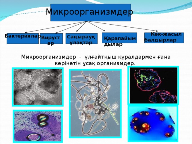 Микроорганизмдер  Көк-жасыл балдырлар  Саңырауқұлақтар  Бактериялар  Вирустар  Қарапайымдылар  Микроорганизмдер - ұлғайтқыш құралдармен ғана көрінетін ұсақ организмдер.