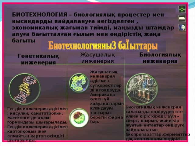 БИОТЕХНОЛОГИЯ – биологиялық процестер мен нысандарды пайдалануға негізделген , экономикалық жағынан тиімді, маңызды штамдар алуға бағытталған ғылым мен өндірістің жаңа бағыты Жасушалық инженерия Биологиялық инженерия Генетикалық инженерия Жасушалық инженерия әдісімен сүтқоректілерді клондауда. Америкада өлген үй хайуанаттарын клондауға тапсырыс беретін фирма бар. Биологиялық инженерия саласында өндіруден өте үлкен кіріс кіреді. Бұл – спирт, шырын, және кір жуатын ұнтақтар өндіруге пайдаланатын биопрепараттар,ферменттердің көп тонналы өндірісі. Гендік инженерия әдісімен : инсулин, саматотропин, және өзге де адам гормондары шығарылады. Гендік инженерия әдісімен картопқоңыз жей алмайтын картоп өсімдігі шығарылды.