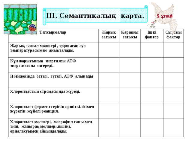 ІІІ. Семантикалық карта. 5 ұпай Тапсырмалар Жарық сатысы Жарық, ылғал мөлшері , қоршаған ауа температурасымен анықталады. Қараңғы сатысы Күн жарығының энергиясы АТФ энергиясына өзгереді. Ішкі фактор Нәтижесінде оттегі, сутегі, АТФ алынады Сыртқы фактор Хлоропластың стромасында жүреді. Хлоропласт ферменттерінің өршіткілігімен жүретін жүйелі реакция. Хлоропласт мөлшері, хлорофил саны мен типі, жапырақ мөлшері,пішіні, орналасуымен айқындалады.