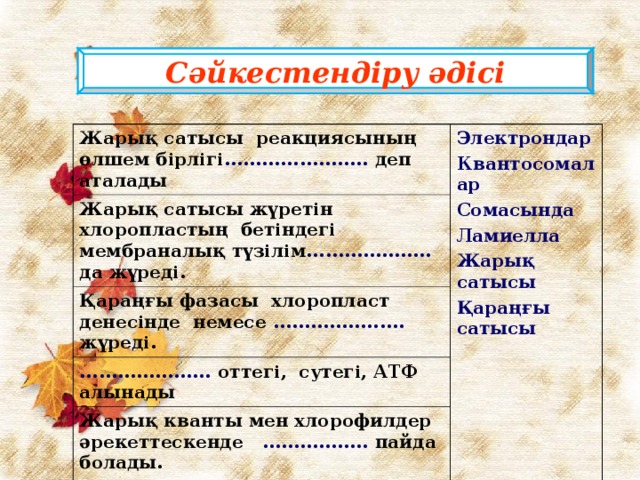 Сәйкестендіру әдісі Жарық сатысы реакциясының өлшем бірлігі ....................... деп аталады Электрондар Квантосомалар Сомасында Ламиелла Жарық сатысы Қараңғы сатысы Жарық сатысы жүретін хлоропластың бетіндегі мембраналық түзілім .................... да жүреді. Қараңғы фазасы хлоропласт денесінде немесе ..................... жүреді. ..................... оттегі, сутегі, АТФ алынады Жарық кванты мен хлорофилдер әрекеттескенде ................. пайда болады.