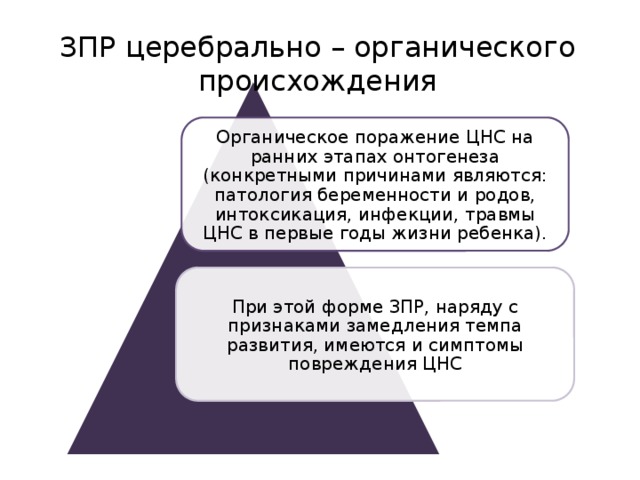 ЗПР церебрально – органического происхождения Органическое поражение ЦНС на ранних этапах онтогенеза (конкретными причинами являются: патология беременности и родов, интоксикация, инфекции, травмы ЦНС в первые годы жизни ребенка). При этой форме ЗПР, наряду с признаками замедления темпа развития, имеются и симптомы повреждения ЦНС