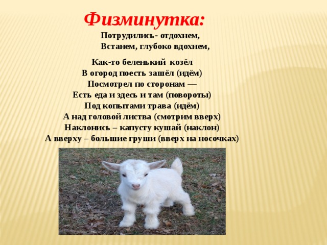 Физминутка:  Потрудились- отдохнем,  Встанем, глубоко вдохнем, Как-то беленький козёл  В огород поесть зашёл (идём)  Посмотрел по сторонам —  Есть еда и здесь и там (повороты)  Под копытами трава (идём)  А над головой листва (смотрим вверх)  Наклонись – капусту кушай (наклон)  А вверху – большие груши (вверх на носочках)