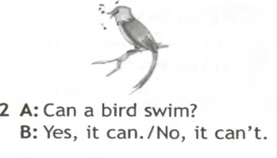 Fish swim bird sing horse run. Birds can Swim. Birds Swim. Can a Bird Swim ответить на вопрос. Crazy Birds Swim.