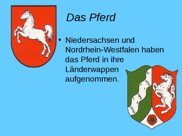 Das Pferd