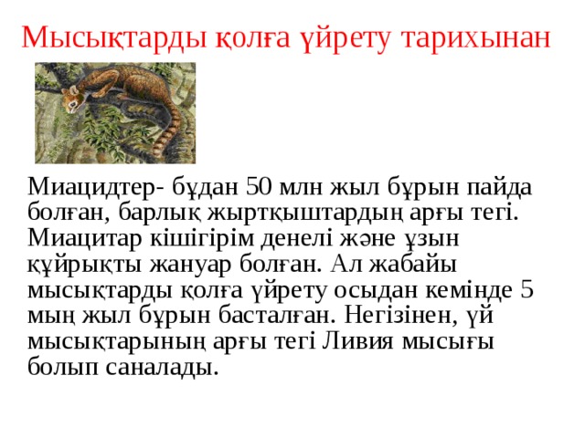 Мысықтарды қолға үйрету тарихынан   Миацидтер- бұдан 50 млн жыл бұрын пайда болған, барлық жыртқыштардың арғы тегі. Миацитар кішігірім денелі және ұзын құйрықты жануар болған. Ал жабайы мысықтарды қолға үйрету осыдан кемінде 5 мың жыл бұрын басталған. Негізінен, үй мысықтарының арғы тегі Ливия мысығы болып саналады.