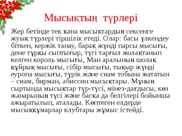 Мысықтың түрлері Жер бетінде тек қана мысықтардың сексенге жуық түрлері тіршілік етеді. Олар: басы үлкендеу біткен, кержік танау, барақ жүнді парсы мысығы, дене тұрқы сыптығыр, түгі тарғыл жолақтанып келген король мысығы, Ман аралының шолақ құйрық мысығы, сібір мысығы, тықыр жүнді еуропа мысығы, түрік және сиам тобына жататын – сиам, бирман, абиссин мысықтары. Мұның сыртында мысықтар түр-түсі, мінез-дағдысы, көз жанарының түсі және басқа да белгілері бойынша ажыратылып, аталады. Көптеген елдерде мысыққұмарлар клубтары жұмыс істейді.