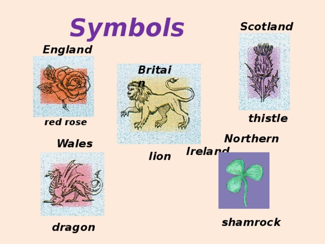 Symbols Scotland           England  Britain thistle red rose  Northern Ireland  Wales lion shamrock dragon