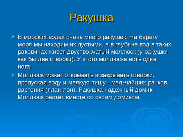 Ракушка