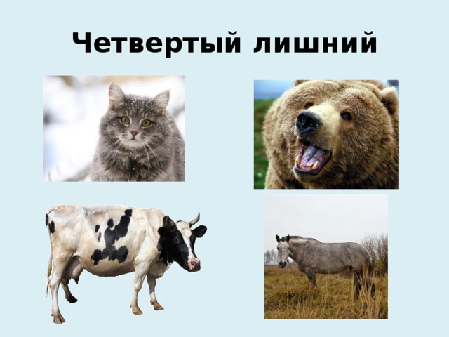 Четвертый лишний