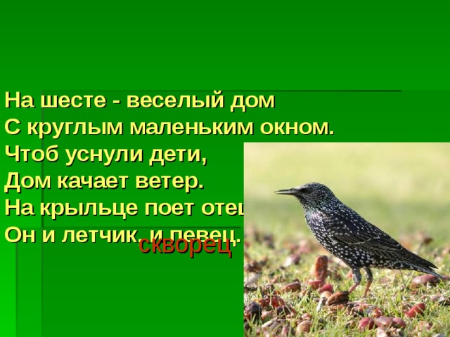 На шесте - веселый дом  С круглым маленьким окном.  Чтоб уснули дети,  Дом качает ветер.  На крыльце поет отец -  Он и летчик, и певец.     скворец