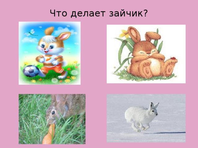 Что делает зайчик?