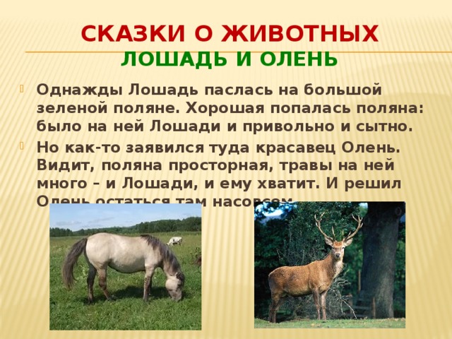 Сказки о животных  Лошадь и олень