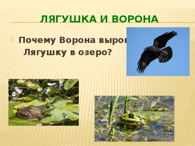 ЛЯГУШКА И ВОРОНА Почему Ворона выронила  Лягушку в озеро?