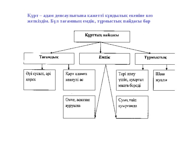 Құрт – адам денсаулығына қажетті құндылық екеніне көз жеткіздім. Бұл тағамның емдік, тұрмыстық пайдасы бар