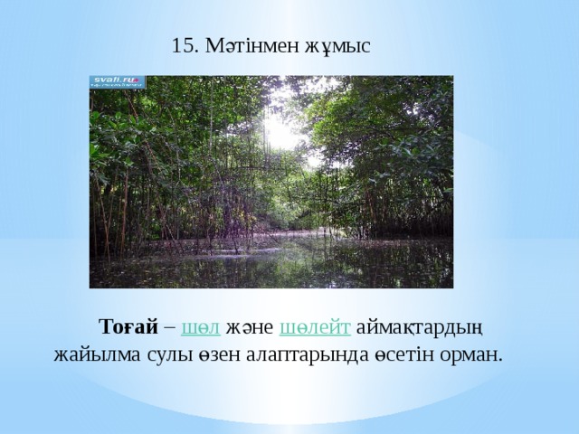 15. Мәтінмен жұмыс  Тоғай  –  шөл  және  шөлейт  аймақтардың жайылма сулы өзен алаптарында өсетін орман.