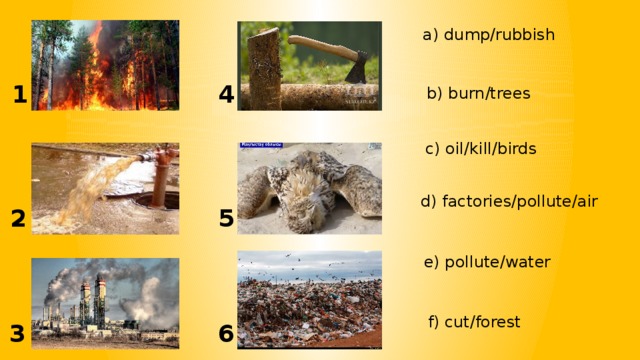 a) dump/rubbish 1 4 b) burn/trees c) oil/kill/birds d) factories/pollute/air 2 5 e) pollute/water f) cut/forest 3 6