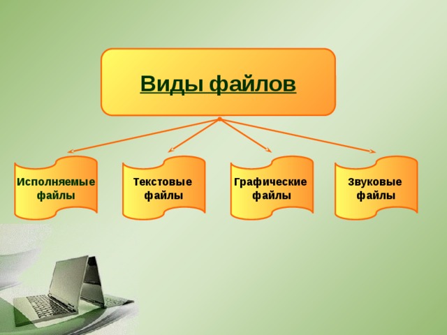 Виды файлов Исполняемые Текстовые Графические Звуковые файлы файлы файлы файлы