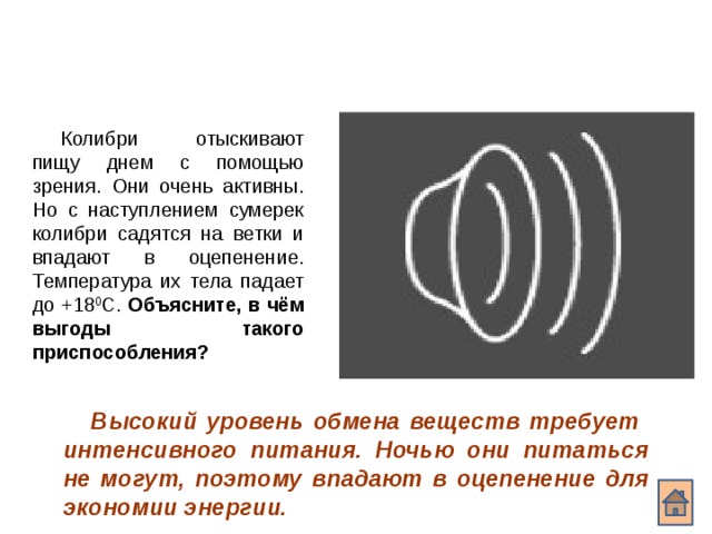 Колибри отыскивают пищу днем с помощью зрения. Они очень активны. Но с наступлением сумерек колибри садятся на ветки и впадают в оцепенение. Температура их тела падает до +18 0 С. Объясните, в чём выгоды такого приспособления? Высокий уровень обмена веществ требует интенсивного питания. Ночью они питаться не могут, поэтому впадают в оцепенение для экономии энергии.