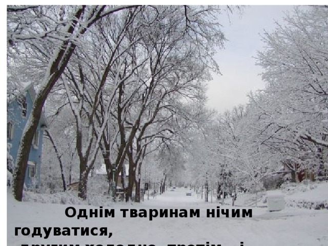 Однім тваринам нічим годуватися,  другим холодно, третім – і голодно, і холодно.