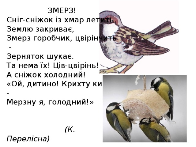 ЗМЕРЗ! Сніг-сніжок із хмар летить, Землю закриває, Змерз горобчик, цвірінчить - Зерняток шукає. Та нема їх! Ців-цвірінь! А сніжок холодний! «Ой, дитино! Крихту кинь - Мерзну я, голодний!»   (К. Перелісна)