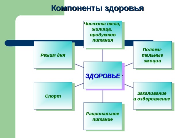 Компоненты здоровья Чистота тела, жилища, продуктов питания  Режим дня Положи-тельные эмоции ЗДОРОВЬЕ Спорт Закаливание и оздоровление Рациональное питание