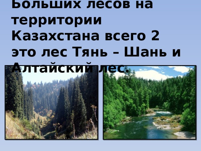 Больших лесов на территории Казахстана всего 2 это лес Тянь – Шань и Алтайский лес.