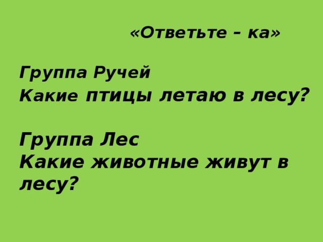 «Ответьте – ка»   Группа Ручей  Какие  птицы  летаю в лесу?   Группа Лес  Какие животные живут в лесу?