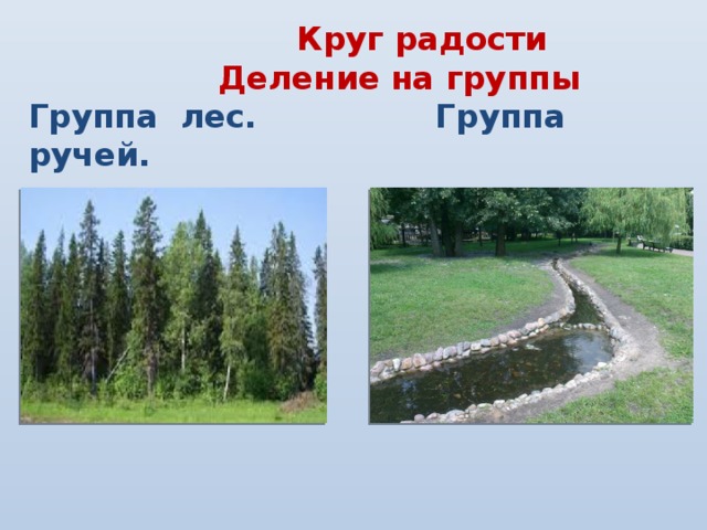 Круг радости  Деление на группы  Группа лес. Группа ручей.