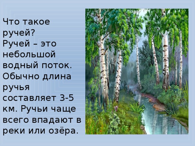 Что такое ручей?  Ручей – это небольшой водный поток. Обычно длина ручья составляет 3-5 км. Ручьи чаще всего впадают в реки или озёра.