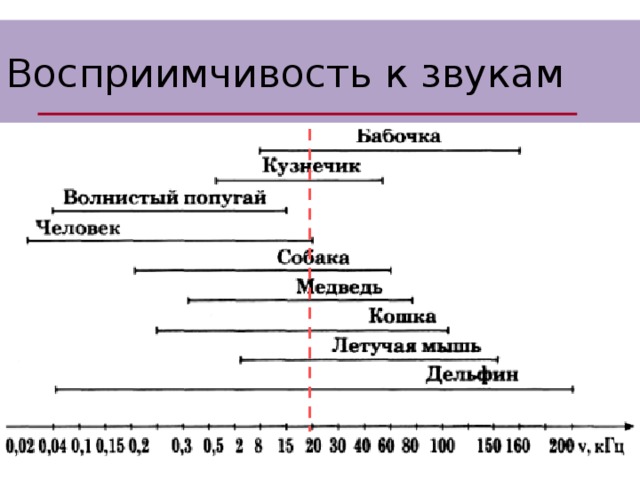 Восприимчивость к звукам