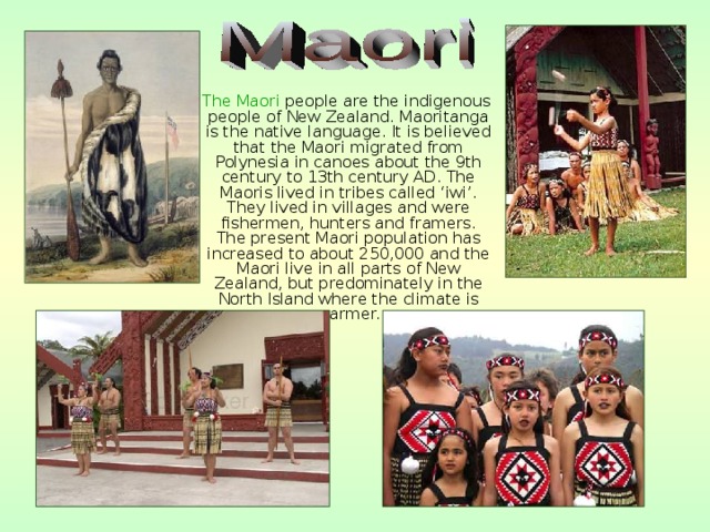 The Maori people are the indigenous people of New Zealand. Maoritanga is the native language. It is believed that the Maori migrated from Polynesia in canoes about the 9th century to 13th century AD. The Maoris lived in tribes called ‘iwi’. They lived in villages and were fishermen, hunters and framers. The present Maori population has increased to about 250,000 and the Maori live in all parts of New Zealand, but predominately in the North Island where the climate is warmer.