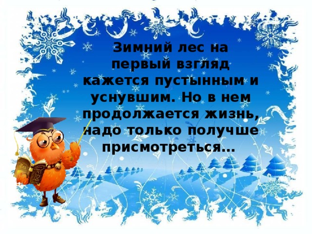 Зимний лес на первый взгляд кажется пустынным и уснувшим. Но в нем продолжается жизнь, надо только получше присмотреться…