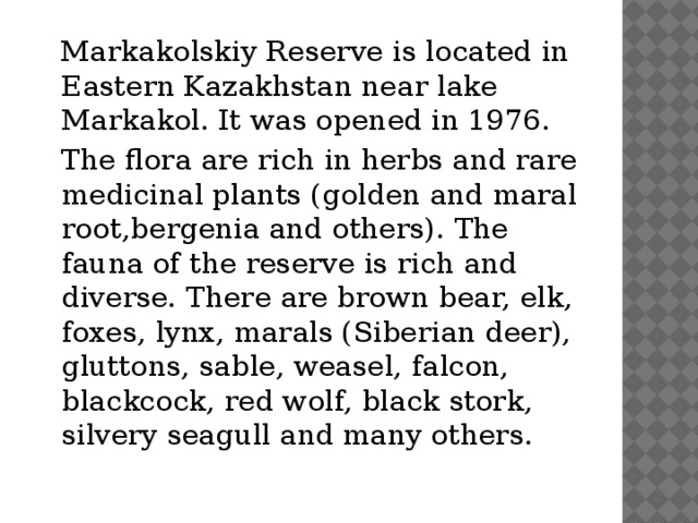 Markakolskiy Reserve is located in Eastern Kazakhstan near lake Markakol. It was opened in 1976.  The flora are rich in herbs and rare medicinal plants (golden and maral root,bergenia and others). The fauna of the reserve is rich and diverse. There are brown bear, elk, foxes, lynx, marals (Siberian deer), gluttons, sable, weasel, falcon, blackcock, red wolf, black stork, silvery seagull and many others.