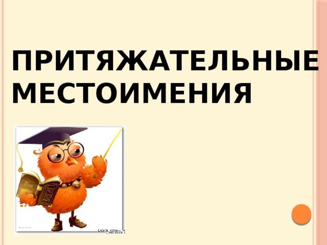 Притяжательные Местоимения