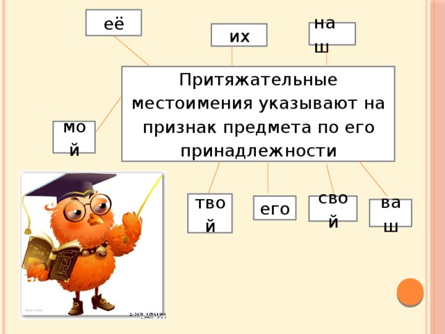 Притяжательные местоимения русский язык 6 класс презентация