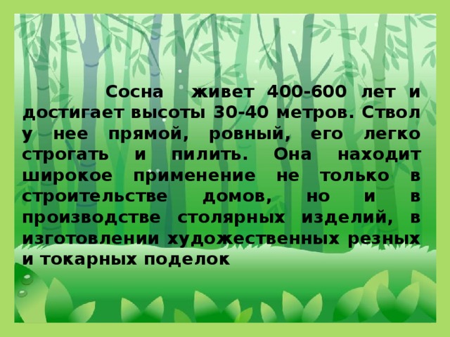 Сосна живет 400-600 лет и достигает высоты 30-40 метров. Ствол у нее прямой, ровный, его легко строгать и пилить. Она находит широкое применение не только в строительстве домов, но и в производстве столярных изделий, в изготовлении художественных резных и токарных поделок