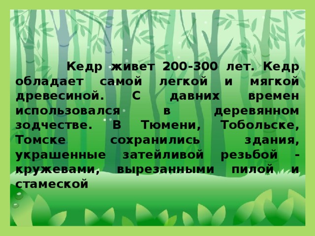 Кедр живет 200-300 лет. Кедр обладает самой легкой и мягкой древесиной. С давних времен использовался в деревянном зодчестве. В Тюмени, Тобольске, Томске сохранились здания, украшенные затейливой резьбой - кружевами, вырезанными пилой и стамеской