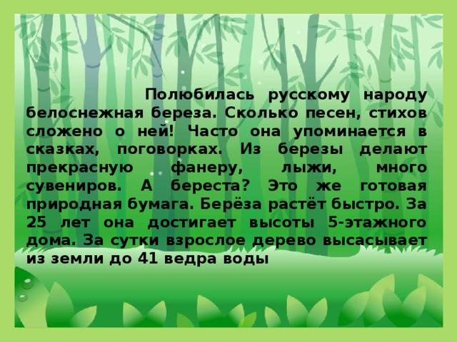 Полюбилась русскому народу белоснежная береза. Сколько песен, стихов сложено о ней! Часто она упоминается в сказках, поговорках. Из березы делают прекрасную фанеру, лыжи, много сувениров. А береста? Это же готовая природная бумага. Берёза растёт быстро. За 25 лет она достигает высоты 5-этажного дома. За сутки взрослое дерево высасывает из земли до 41 ведра воды