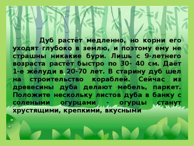 Дуб растёт медленно, но корни его уходят глубоко в землю, и поэтому ему не страшны никакие бури. Лишь с 9-летнего возраста растёт быстро по 30- 40 см. Даёт 1-е жёлуди в 20-70 лет. В старину дуб шел на строительство кораблей. Сейчас из древесины дуба делают мебель, паркет. Положите нескольку листов дуба в банку с солеными огурцами - огурцы станут хрустящими, крепкими, вкусными