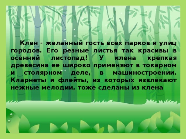 Клен - желанный гость всех парков и улиц городов. Его резные листья так красивы в осенний листопад! У клена крепкая древесина ее широко применяют в токарном и столярном деле, в машиностроении. Кларнеты и флейты, из которых извлекают нежные мелодии, тоже сделаны из клена