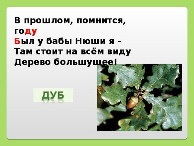 В прошлом, помнится, го ду  Б ыл у бабы Нюши я -  Там стоит на всём виду  Дерево большущее! В прошлом, помнится, году  Был у бабы Нюши я -  Там стоит на всём виду  Дерево большущее!