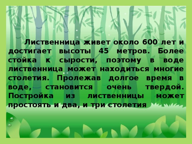 Лиственница живет около 600 лет и достигает высоты 45 метров. Более стойка к сырости, поэтому в воде лиственница может находиться многие столетия. Пролежав долгое время в воде, становится очень твердой. Постройка из лиственницы может простоять и два, и три столетия