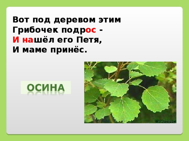 Вот под деревом этим  Грибочек подрос -  И нашёл его Петя,  И маме принёс. Вот под деревом этим  Грибочек подр ос -  И на шёл его Петя,  И маме принёс.