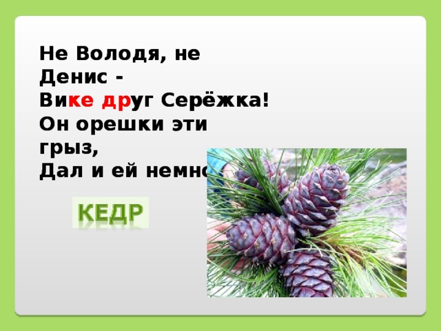 Не Володя, не Денис -  Вике друг Серёжка!  Он орешки эти грыз,  Дал и ей немножко!   Не Володя, не Денис -  Ви ке  др уг Серёжка!  Он орешки эти грыз,  Дал и ей немножко!