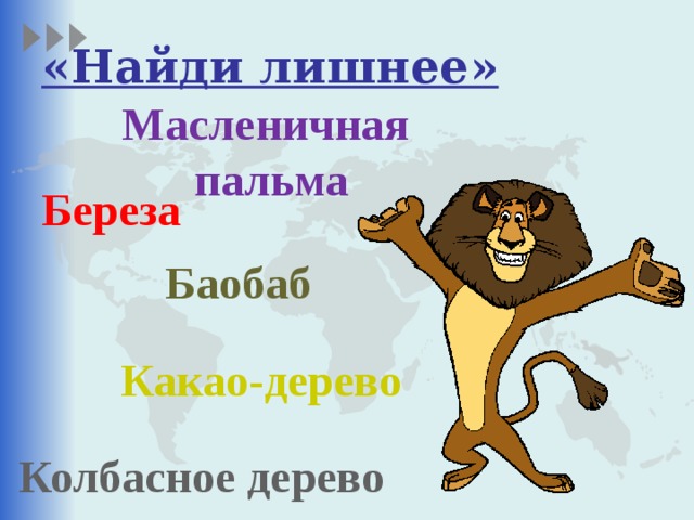 «Найди лишнее» Масленичная пальма Береза Баобаб Какао-дерево Колбасное дерево