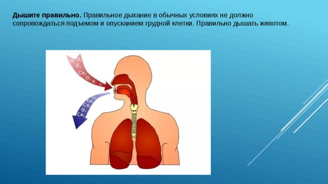 Дышите правильно. Правильное дыхание в обычных условиях не должно сопровождаться подъемом и опусканием грудной клетки. Правильно дышать животом.